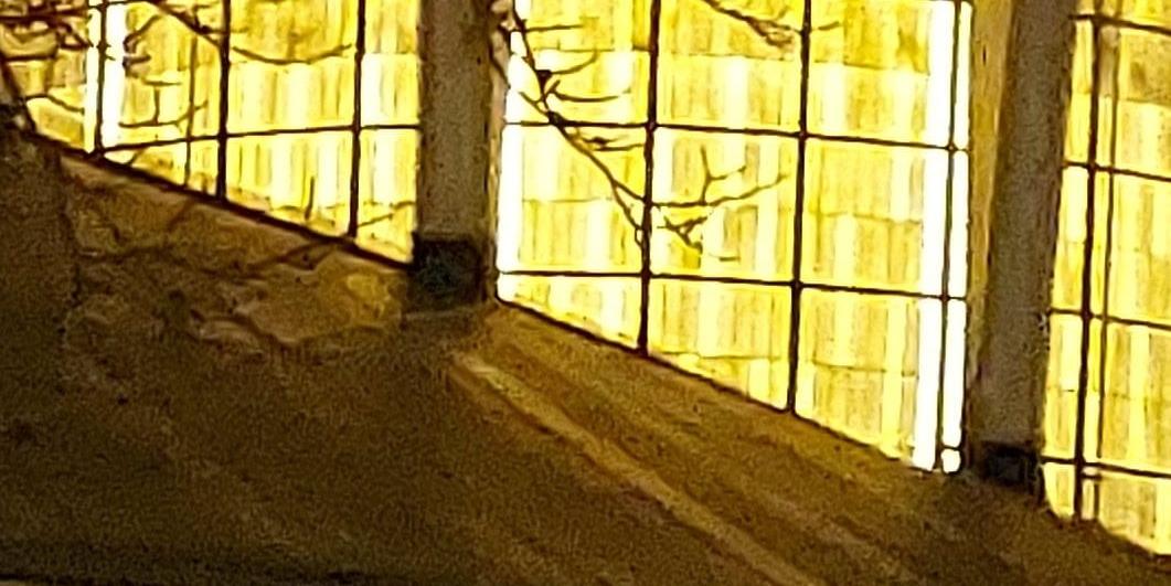 Evensong in St. Albert