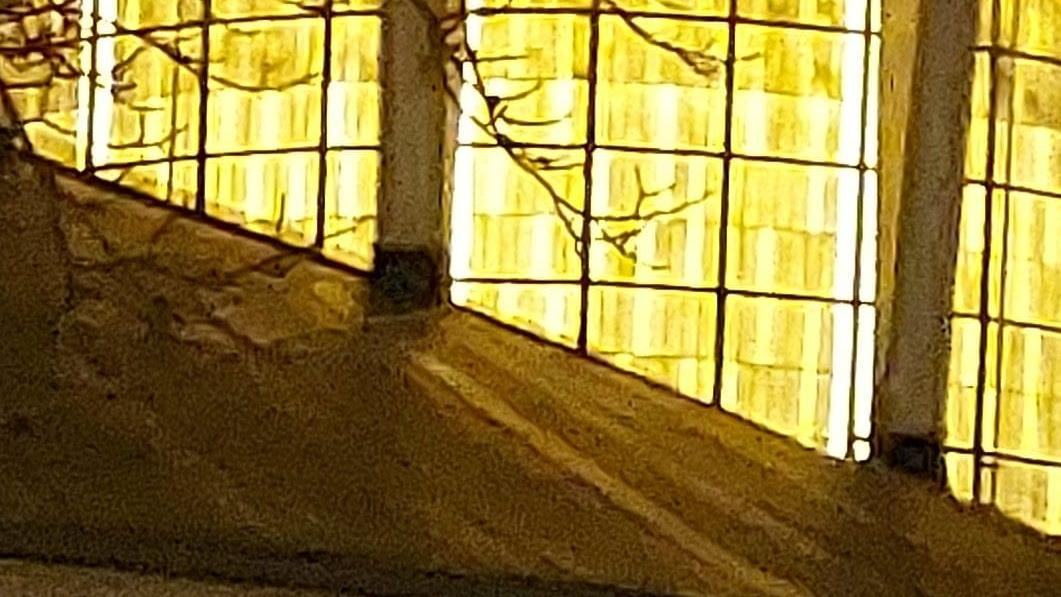 Evensong in St. Albert